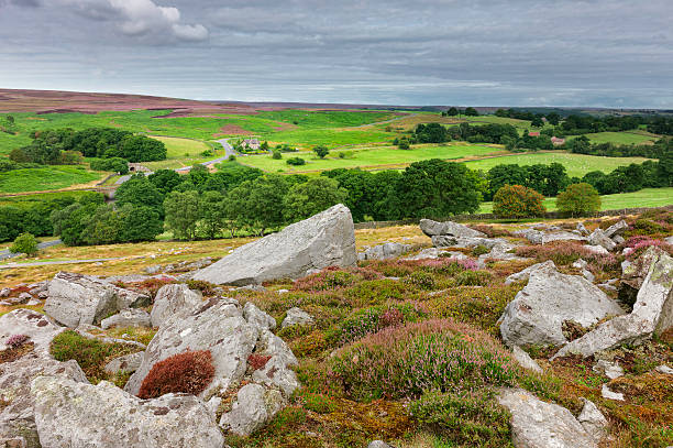 istock North York Moors at dawn, Goathland, Yorkshire, UK. 462325083