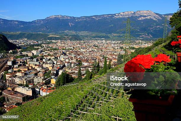 Bolzano From Above Dolomites Sud Tirol Italy Stock Photo - Download Image Now - Bolzano, Southern Italy, Vineyard