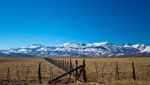 istock Grazing Lands in California 462333429