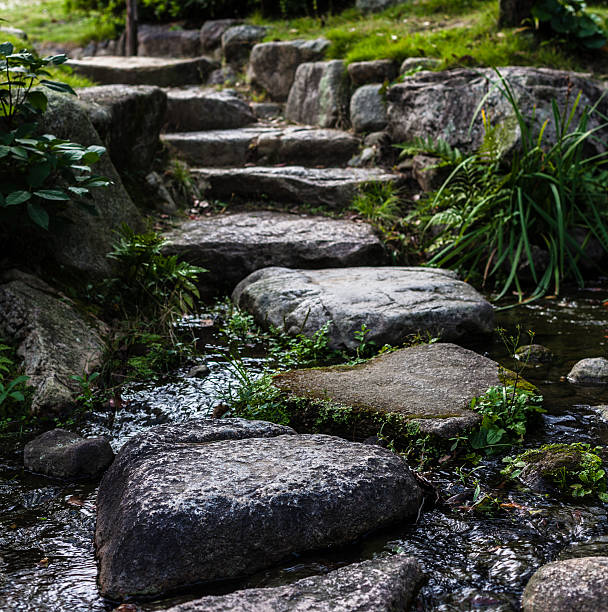 kamienne ścieżki - nature japanese garden formal garden ornamental garden zdjęcia i obrazy z banku zdjęć