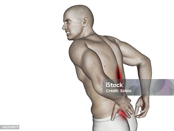 Dolor De Espalda Foto de stock y más banco de imágenes de Adulto - Adulto, Anatomía, Calambres