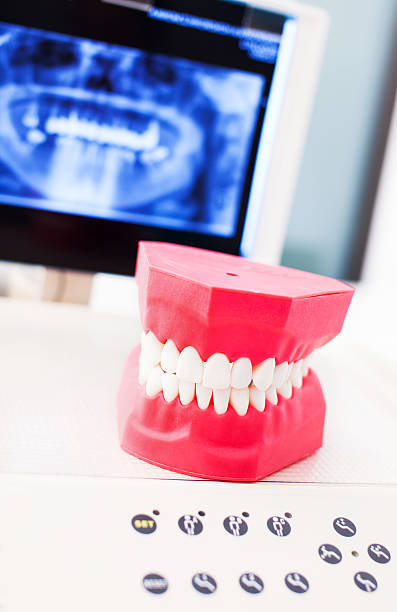 istock Fake set of teeth at dentist office 462345967