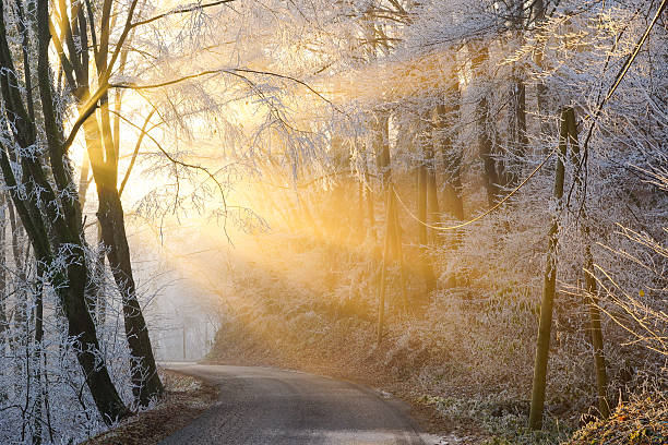 West pine Drive equinox sunrise, Higgins Lake, Michigan
