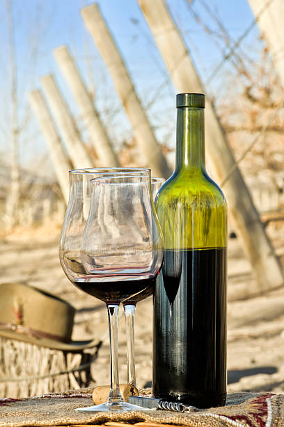 красное вино и виноградник - wine cork antioxidant wineglass autumn стоковые фото и изображения