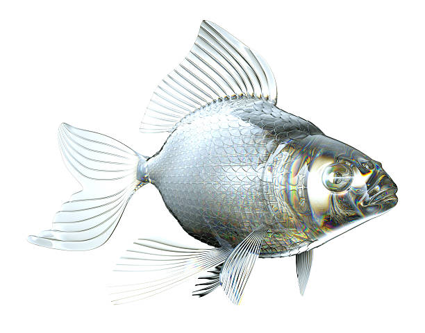 istock Beautiful semitransparent Glass fish isolated 462353189
