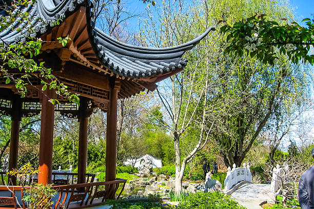 Traditional Chinese Pagoda - scenic stock photo