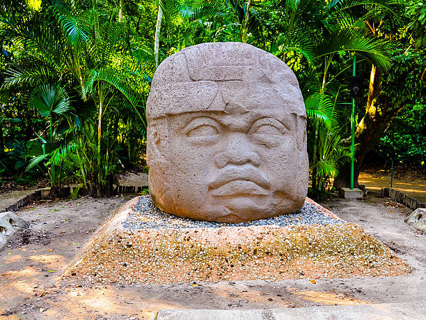 Colossal Olmec Stone Head - Villahermosa, Mexico Thought to have been carved in 700BC, the colossal stone head, along with three others are the most famous monumental artifact in La Venta (now in Villahermosa), Mexico. basalt photos stock pictures, royalty-free photos & images