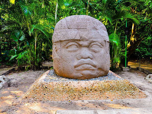 Colossal Olmec Stone Head - Villahermosa, Mexico Thought to have been carved in 700BC, the colossal stone head, along with three others are the most famous monumental artifact in La Venta (now in Villahermosa), Mexico. olmec head stock pictures, royalty-free photos & images