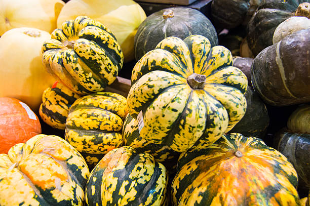 Display of fresh vegetables - Squash, Pumpkin stock photo