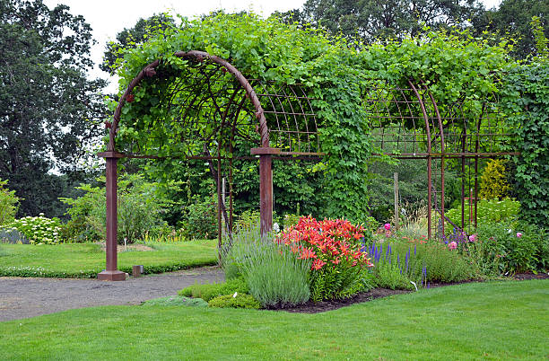istock Botanical garden entrance 462367499