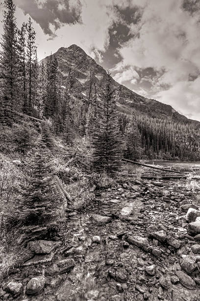 istock Vista lake Stream Black and White 462367853