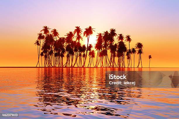 Sun Over Coconut Palms Stock Photo - Download Image Now - Fiji, Sunset, Island
