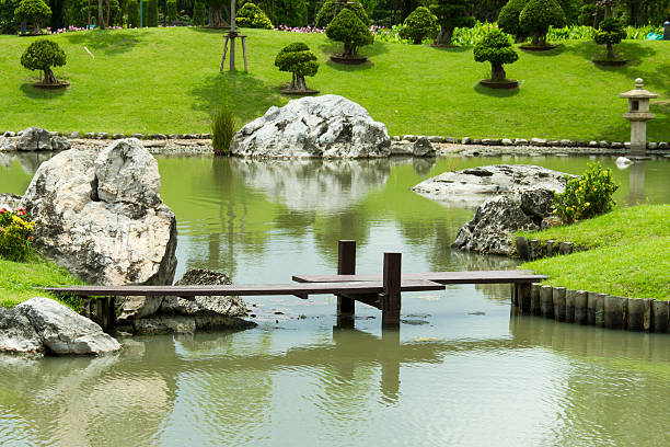 istock wooden bridge and pond 462373551