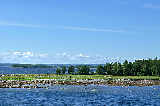 istock On the beach of  White sea 462376615