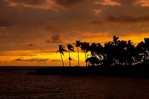 istock Beautiful sunset on Hawaii tropical beach 462381387