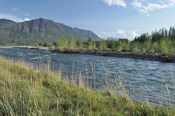 istock Pebble Bank of a mountain river. 462381633