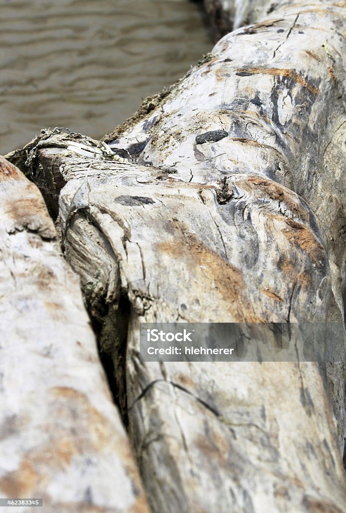 Treibholz - Lizenzfrei Abstrakt Stock-Foto