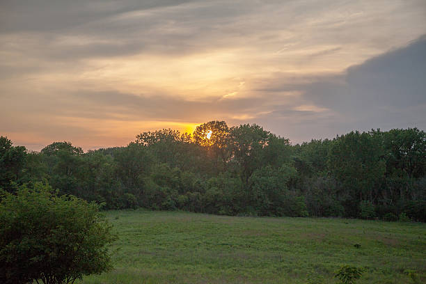 Sunset in a Beautiful Field stock photo