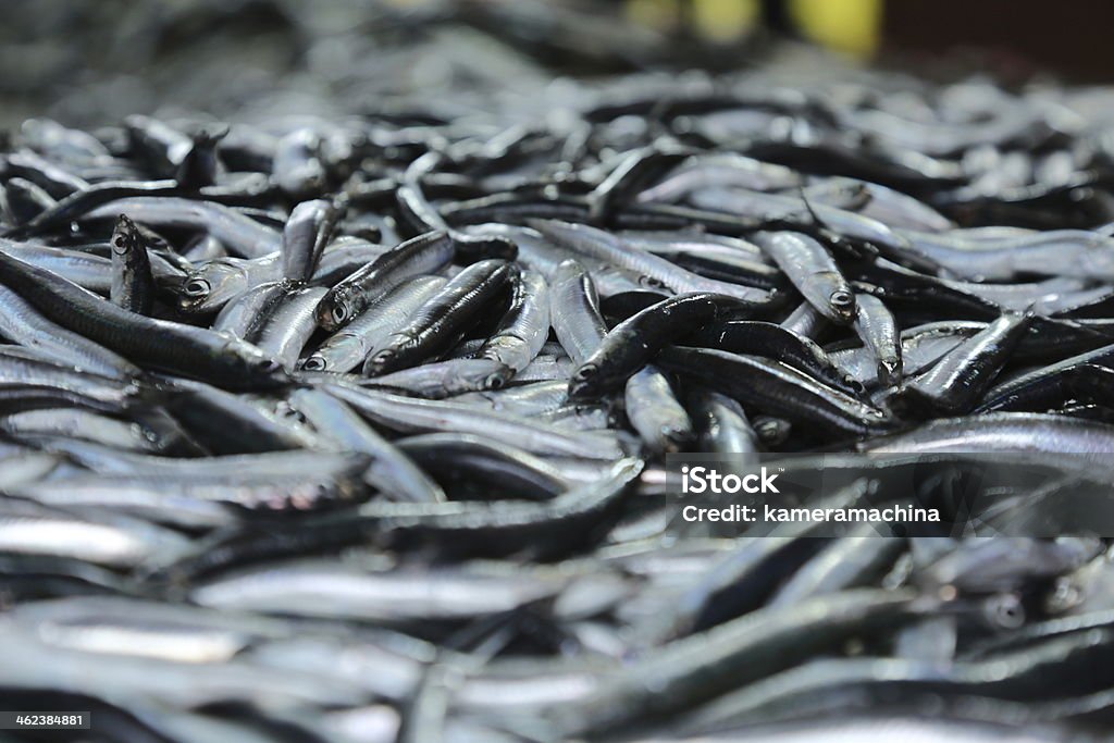 Fresh and Fishy Black Sea anchovy fish just brought from sea and poured on the seller's tables in northeast coast of Turkey, Rize where is very famous with its fishing industry. It is said that The Turkish commercial fishing fleet catches around 300.000 tons per year on average, mainly in winter. The largest catch is in November and December. Selective focus around the center of the subject. Anchovy Stock Photo