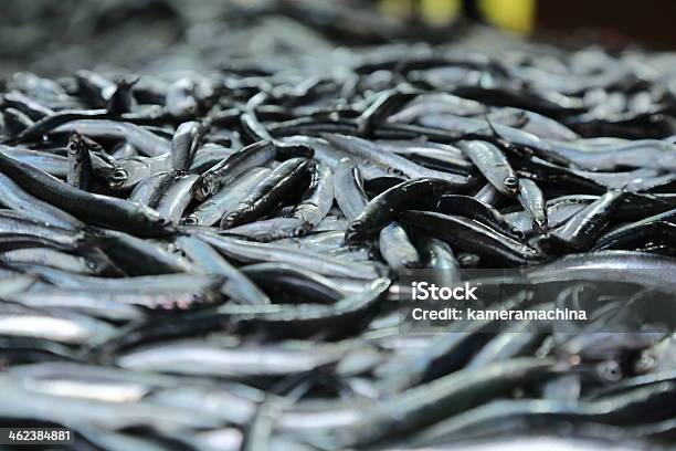 Fresh And Fishy Stock Photo - Download Image Now - Anchovy, Black Sea, Fish