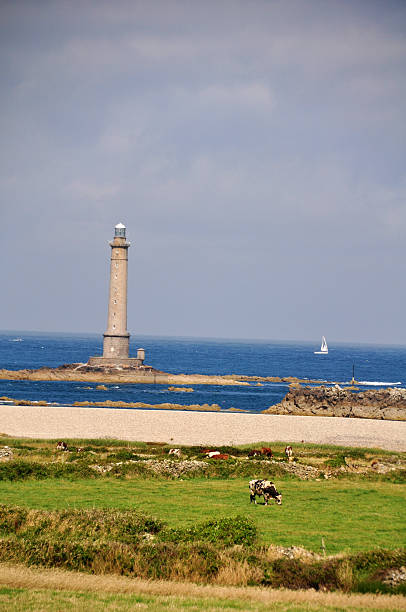 istock Cap La Hague in France 462385579