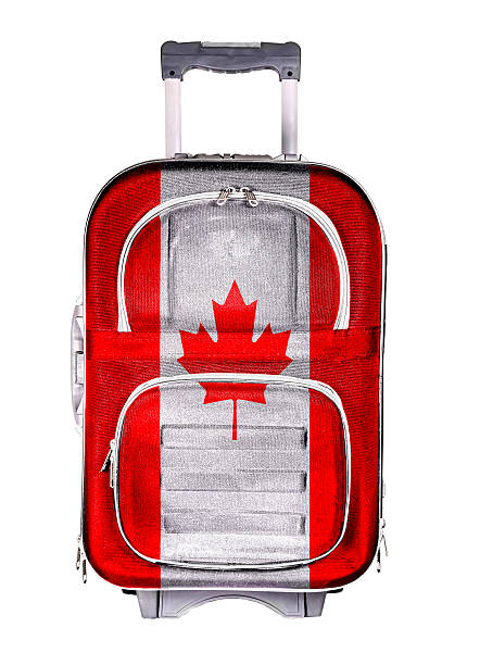 istock Travel suitcase, the concept of emigration 462385925