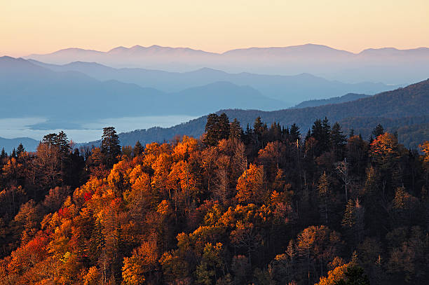istock Sunrise at Smoky Mountains 462386271