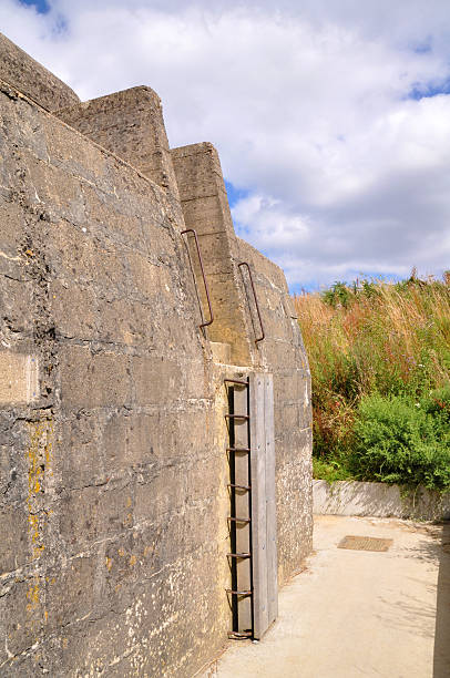 istock German artillery battery near Saint-Marcou 462387877