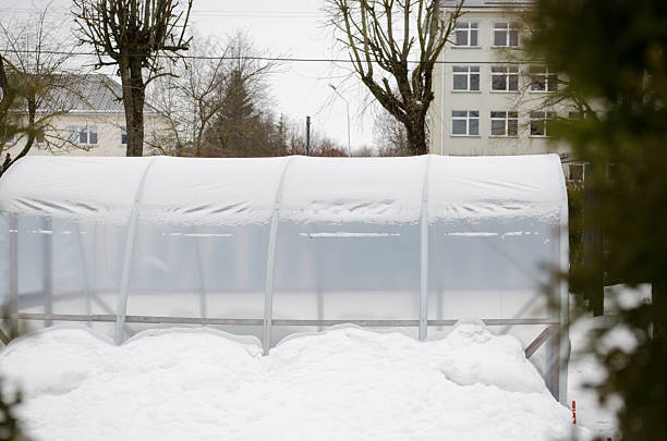 istock polythene conservatory snow town yard season 462388993