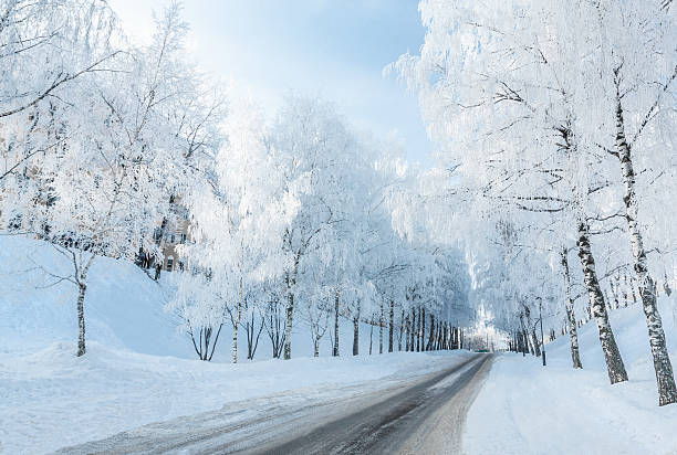 Winter road stock photo