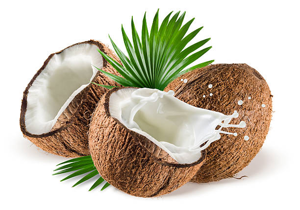 Whole and cut coconuts with milk splashing and green leaves Coconuts with milk splash and leaf on white background coconut milk photos stock pictures, royalty-free photos & images
