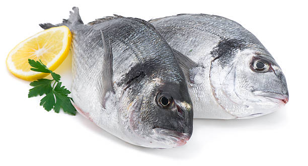 ซีบรีม - วงศ์ปลาจาน ปลาเขตร้อน ภาพสต็อก ภาพถ่ายและรูปภาพปลอดค่าลิขสิทธิ์