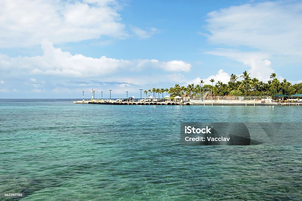 Azul do mar e palmeiras no Havaí - Foto de stock de Azul royalty-free