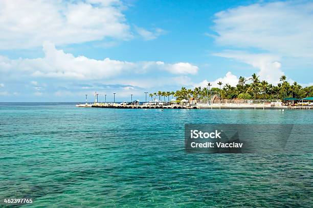 Foto de Azul Do Mar E Palmeiras No Havaí e mais fotos de stock de Azul - Azul, Big Island - Ilhas do Havaí, Céu - Fenômeno natural