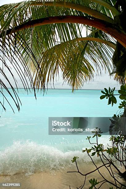 Tropical Paradise Stock Photo - Download Image Now - Beach, Idyllic, Island