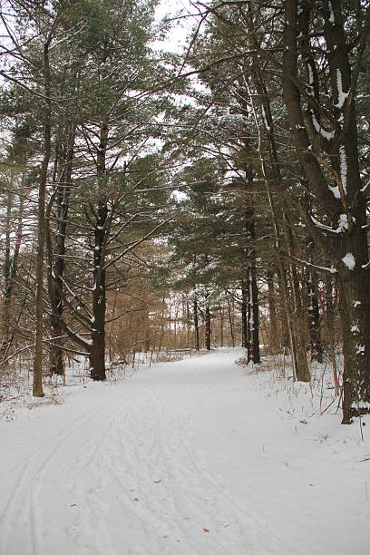 istock Snow in Residential Area 462404345