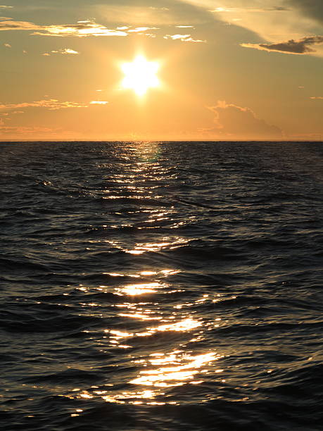 istock Dramatic sunset over the Baltic sea 462405087