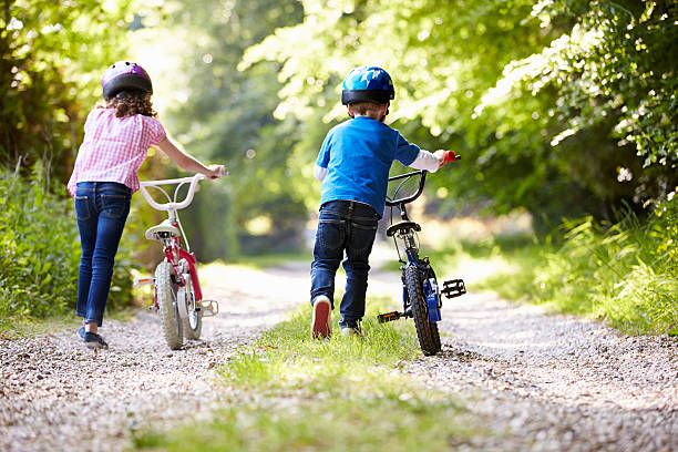 istock Two Children Pushing Bikes Along Country Track 462408011
