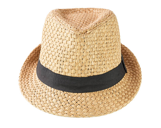 istock Fashion hat isolated on white background 462411549