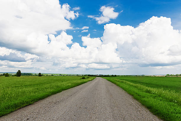 istock asphalt road through the green field 462414147