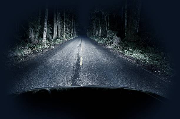 夜のドライブスルー林 - nobody horror spooky road ストックフォトと画像