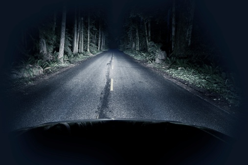 Night Driving Thru Forest - Straight Road and Creepy Dark Forest. Transportation Photo Collection.