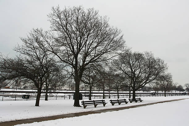 istock snowy on christmas time in Chicago 462424423