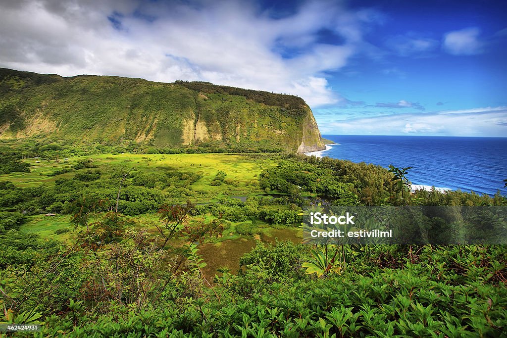 Waipio Valley view in Hawaii Waipio Valley view in Big island, Hawaii Waipio Valley Stock Photo