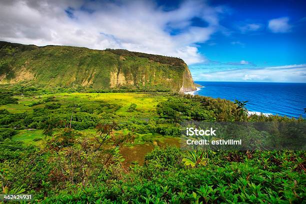 Waipio Valley View In Hawaii Stock Photo - Download Image Now - Waipio Valley, Adulation, Beach