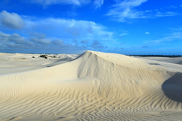 istock White sand dunes of Nilgen Nature Reserve 462430263