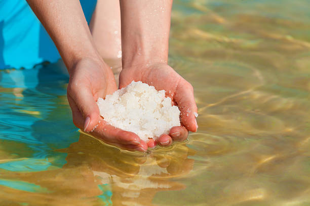 istock Female hands with salt from Dead Sea 462431833