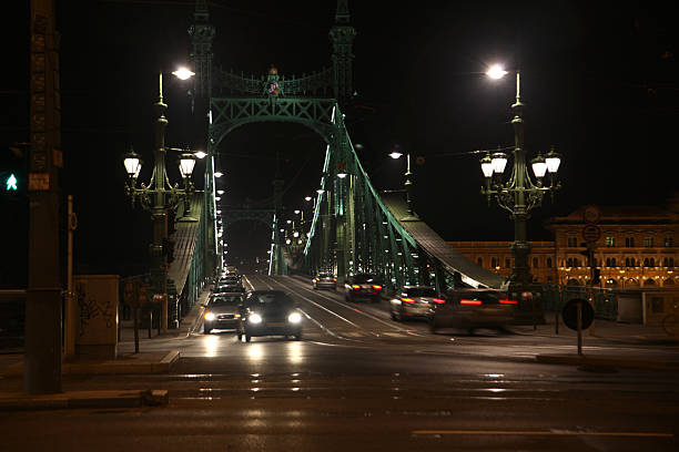 Liberdade Ponte de Budapeste - fotografia de stock