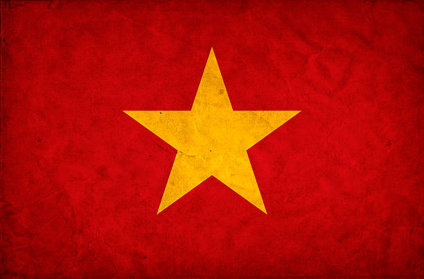 istock Vietnam grunge flag 462433655