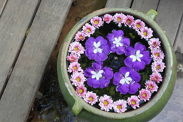 Stock photo showing traditional welcome in Indian hotels of flowerheads floating in water basin dish uruli  /urli.